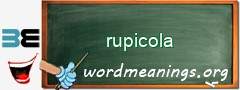 WordMeaning blackboard for rupicola